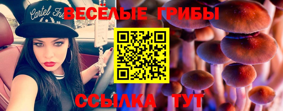 Рязань  Галлюциногенные грибы ЛСД  Вход с VPN 